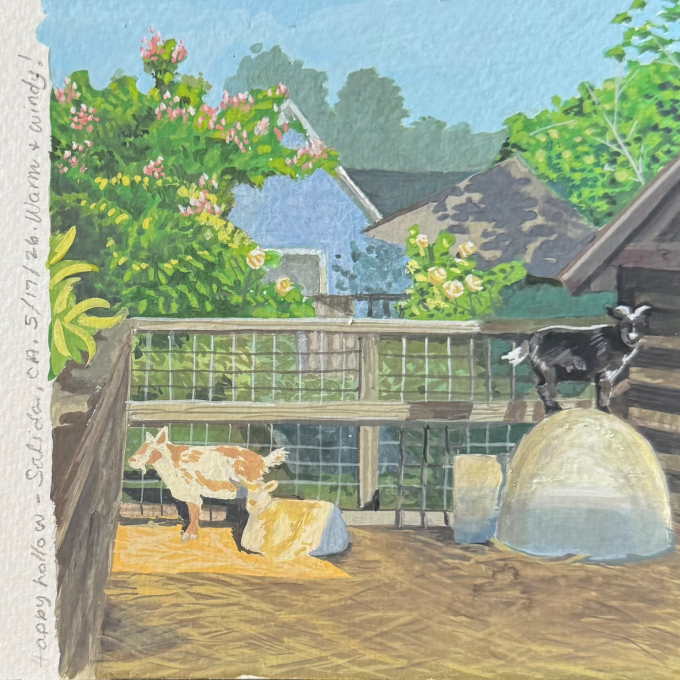 Gouache painting of goats at the Happy Hollow petting zoo